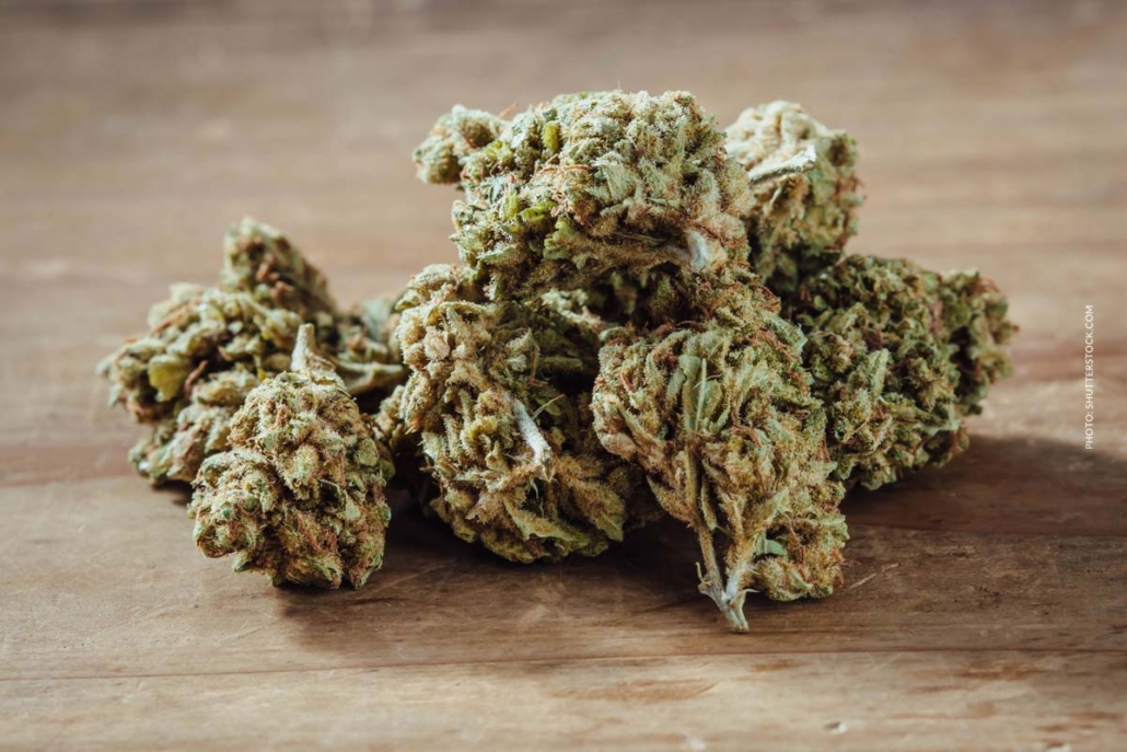 cannabis-sorte-blute-bud-blute-tisch-shop-thc-aroma-stapel