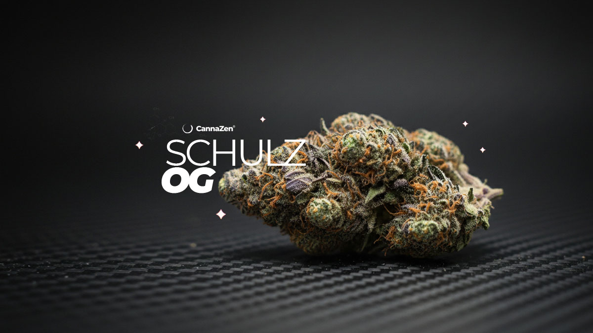 schulz-og-cannabis-sorte-cannazen-hersteller-wirkung-aroma-effekt-thc-cbd-terpene