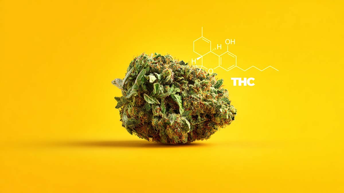 thc-sorte-cannabinoid-wirkstoff-weed-cannabis-molekul-chemie-wirkung-korper-gehirn-blute-foto-high-gelb