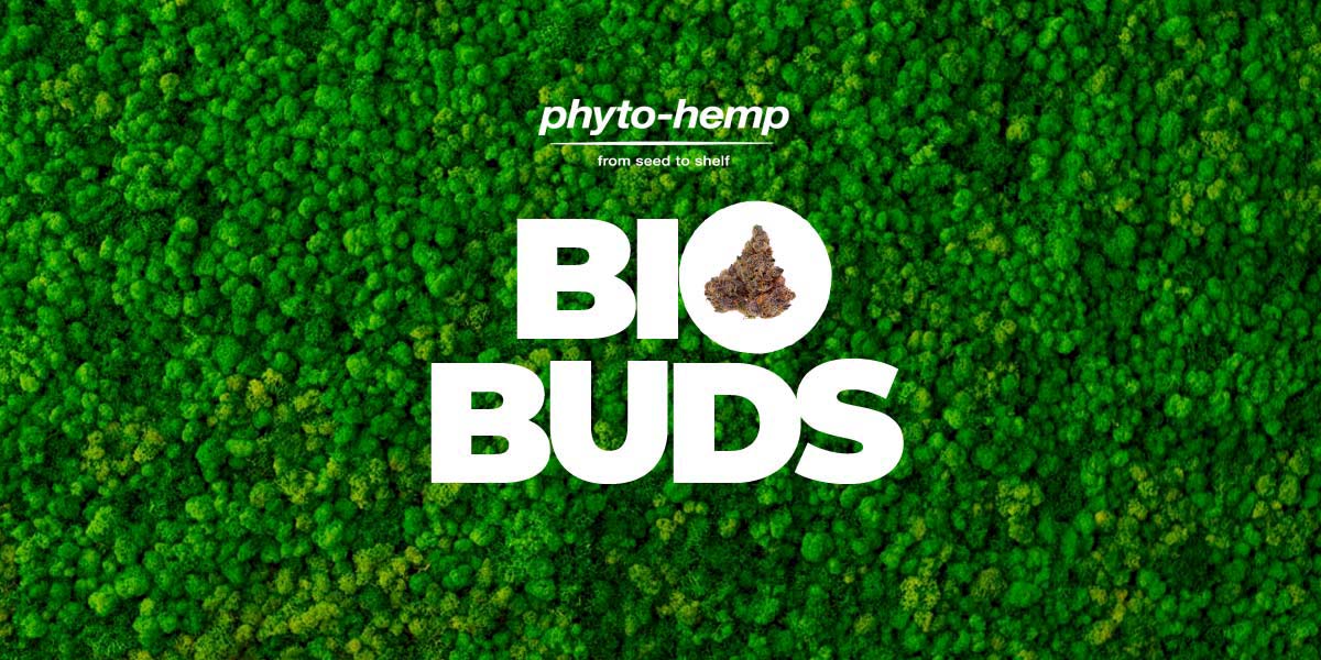 bio-zertifiziert-blueten-cannabis-weed-natur-naturlich-erste-ernte-live-cherry-shop